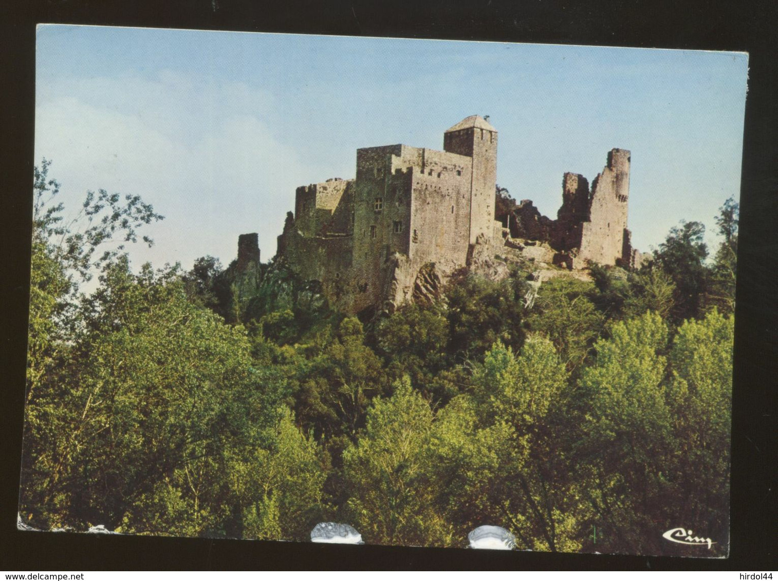 couleur horiz (41).jpg